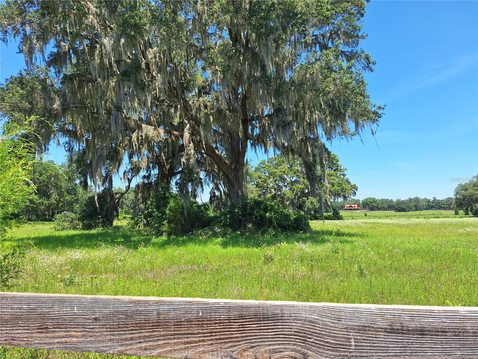 Details for 154th Ave. Rd. #13, MORRISTON, FL 32668