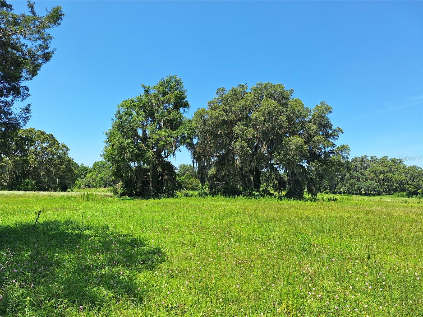 Image 8 of 26 For 154th Ave. Rd. #13