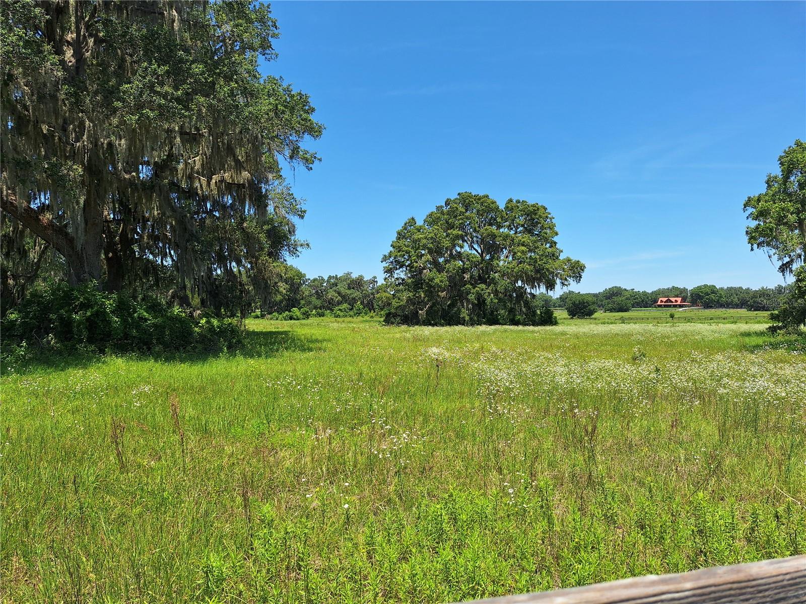 Details for 000 154th Ave. Rd., MORRISTON, FL 32668