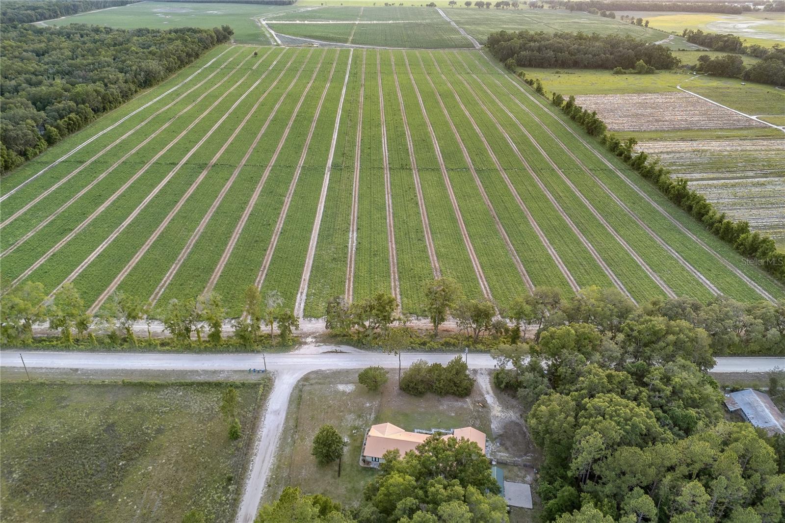 Image 3 of 29 For 6025 250th Street