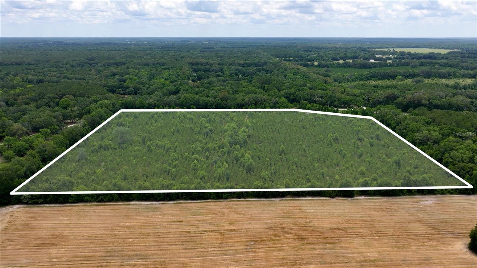 Details for  Cr 235  , NEWBERRY, FL 32669