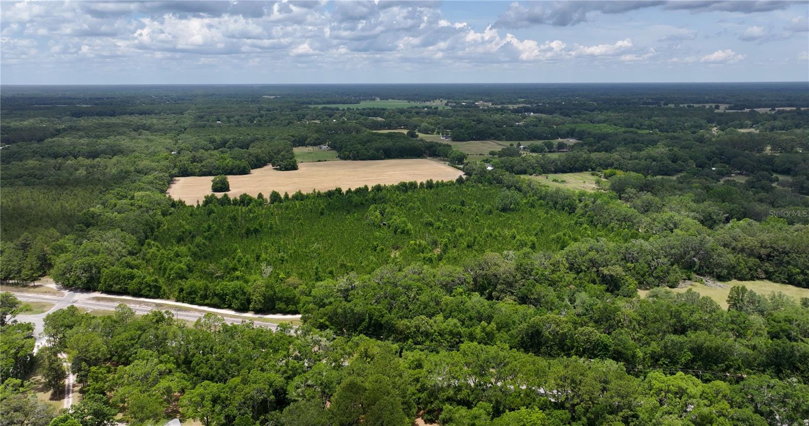 Image 11 of 21 For  Cr 235  