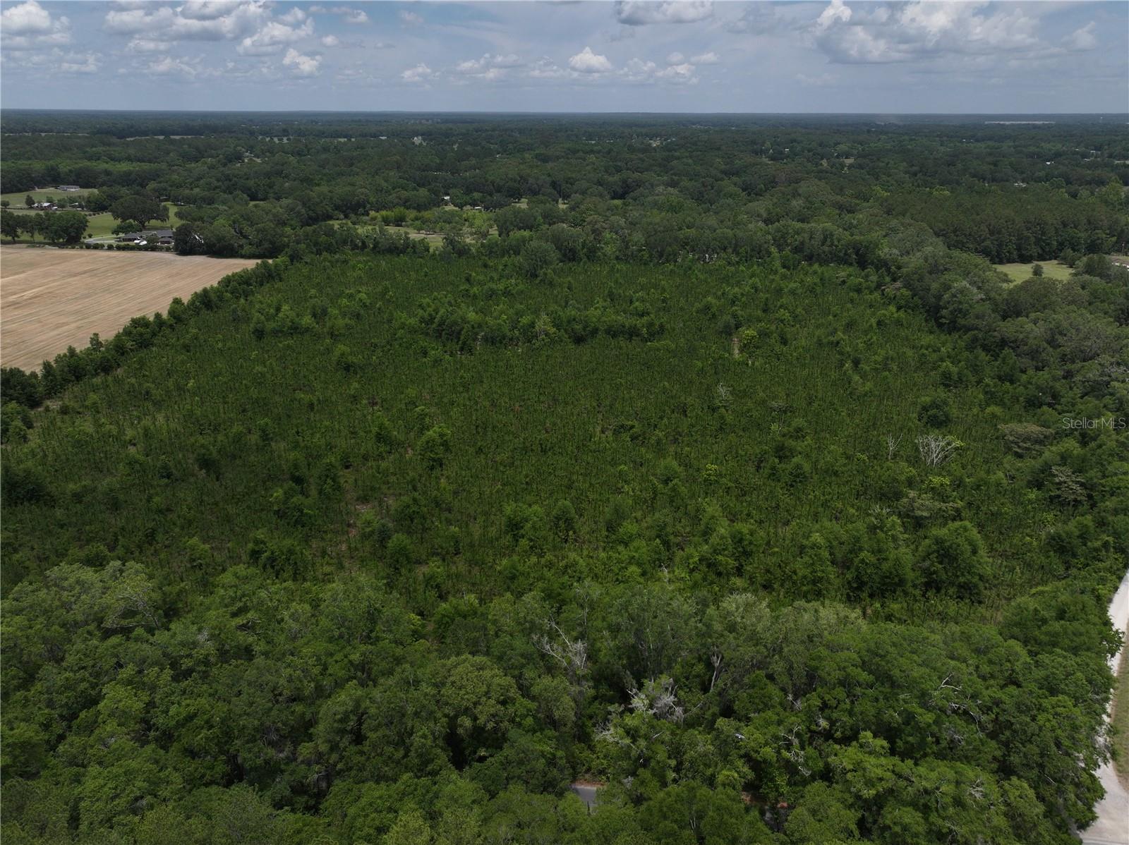 Image 13 of 21 For  Cr 235  