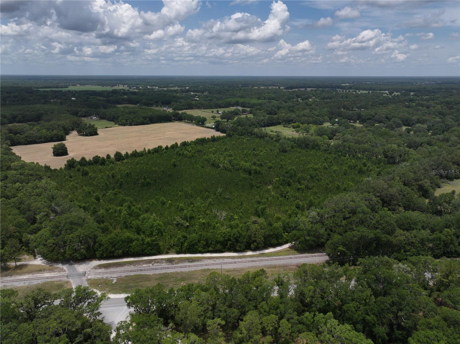 Image 14 of 21 For  Cr 235  