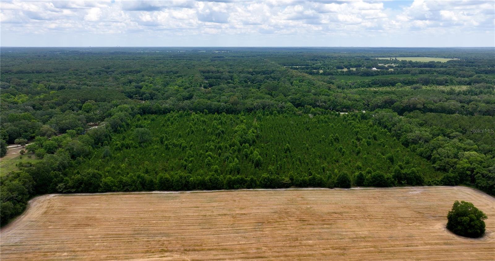 Image 17 of 21 For  Cr 235  
