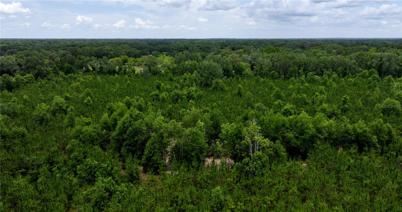 Image 18 of 21 For  Cr 235  