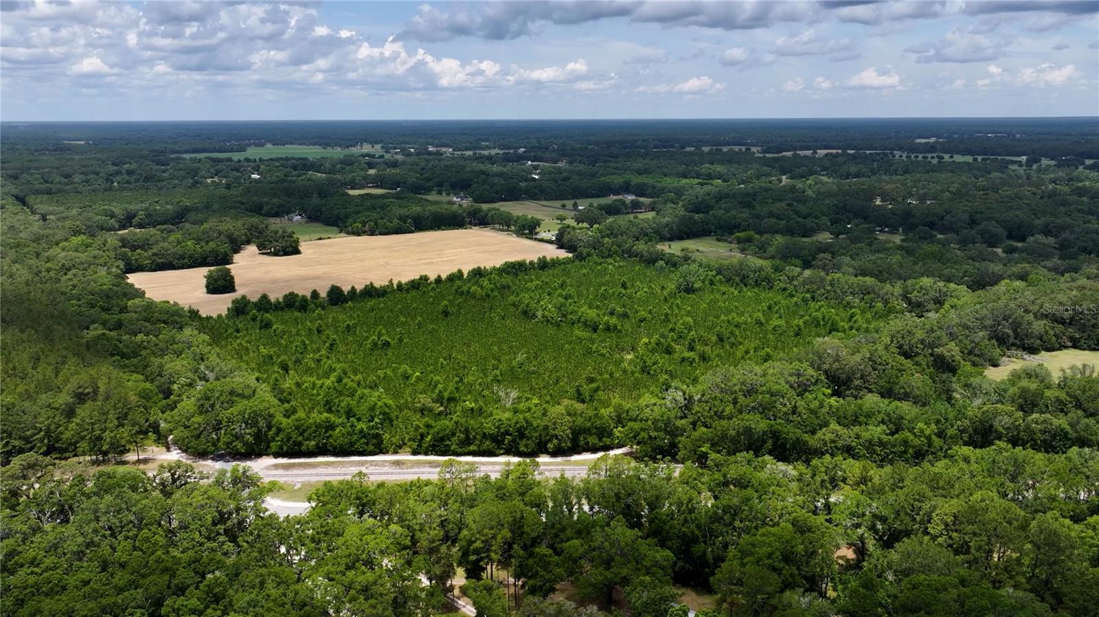 Image 19 of 21 For  Cr 235  