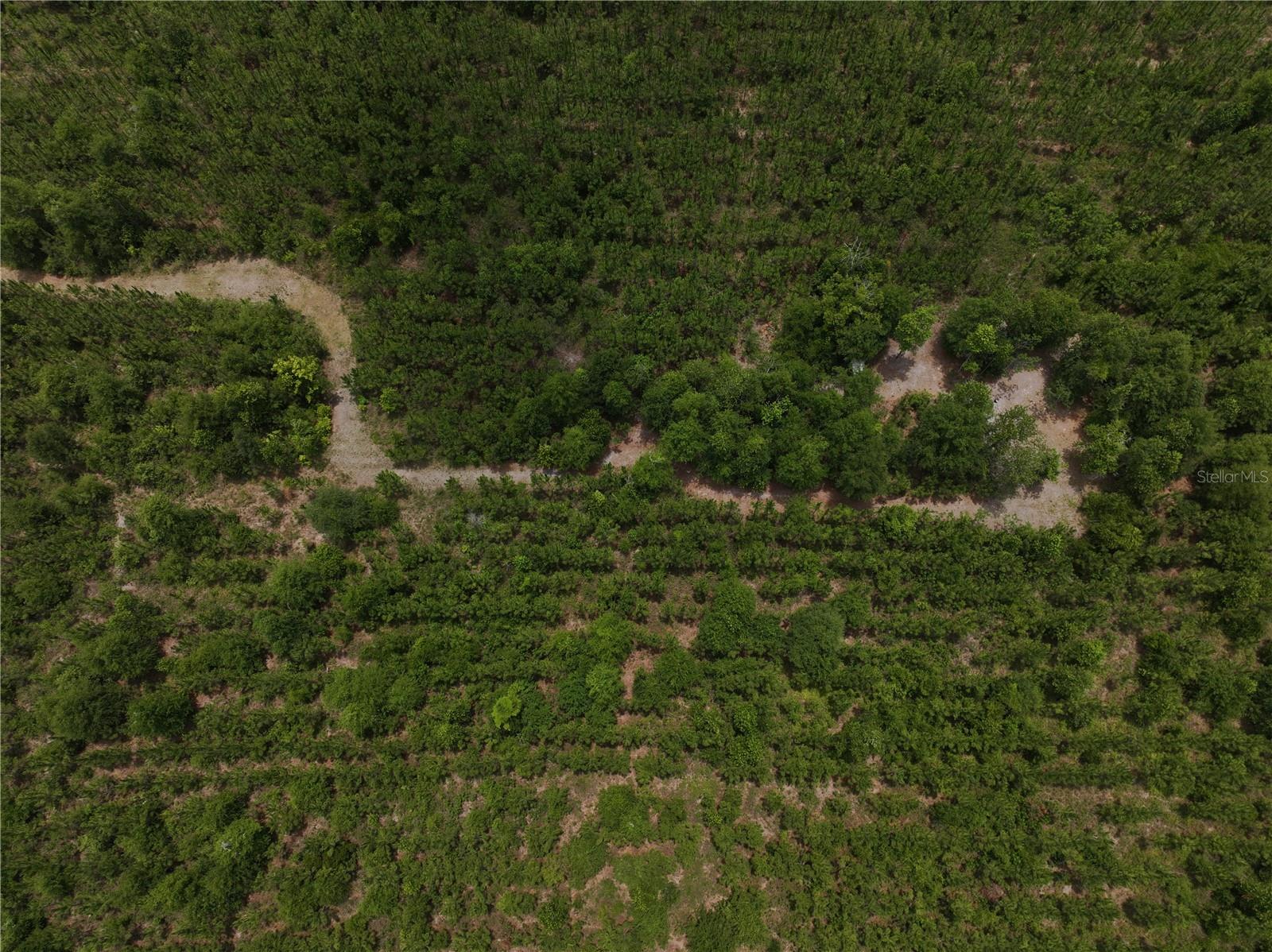 Image 2 of 21 For  Cr 235  