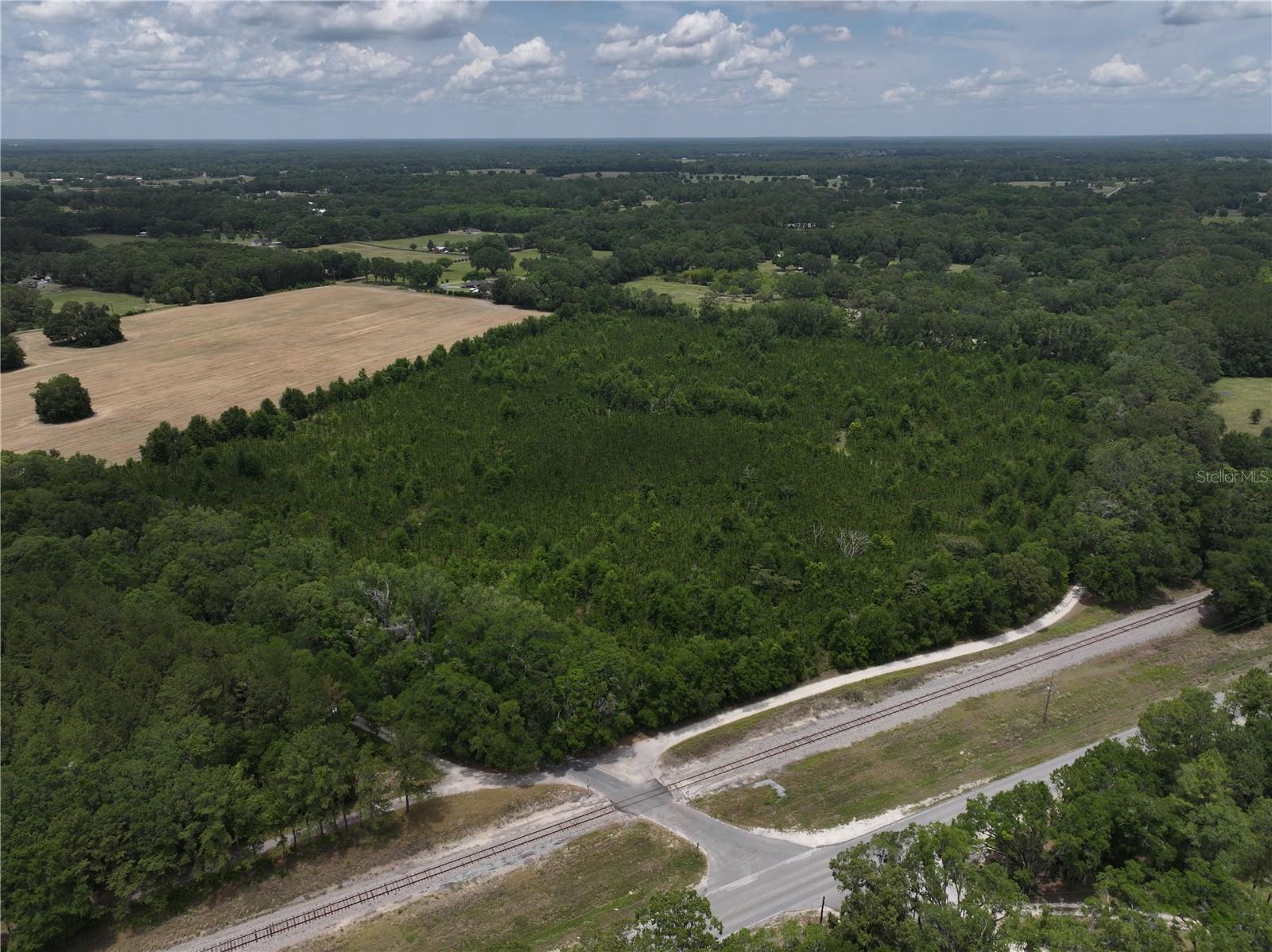 Image 20 of 21 For  Cr 235  