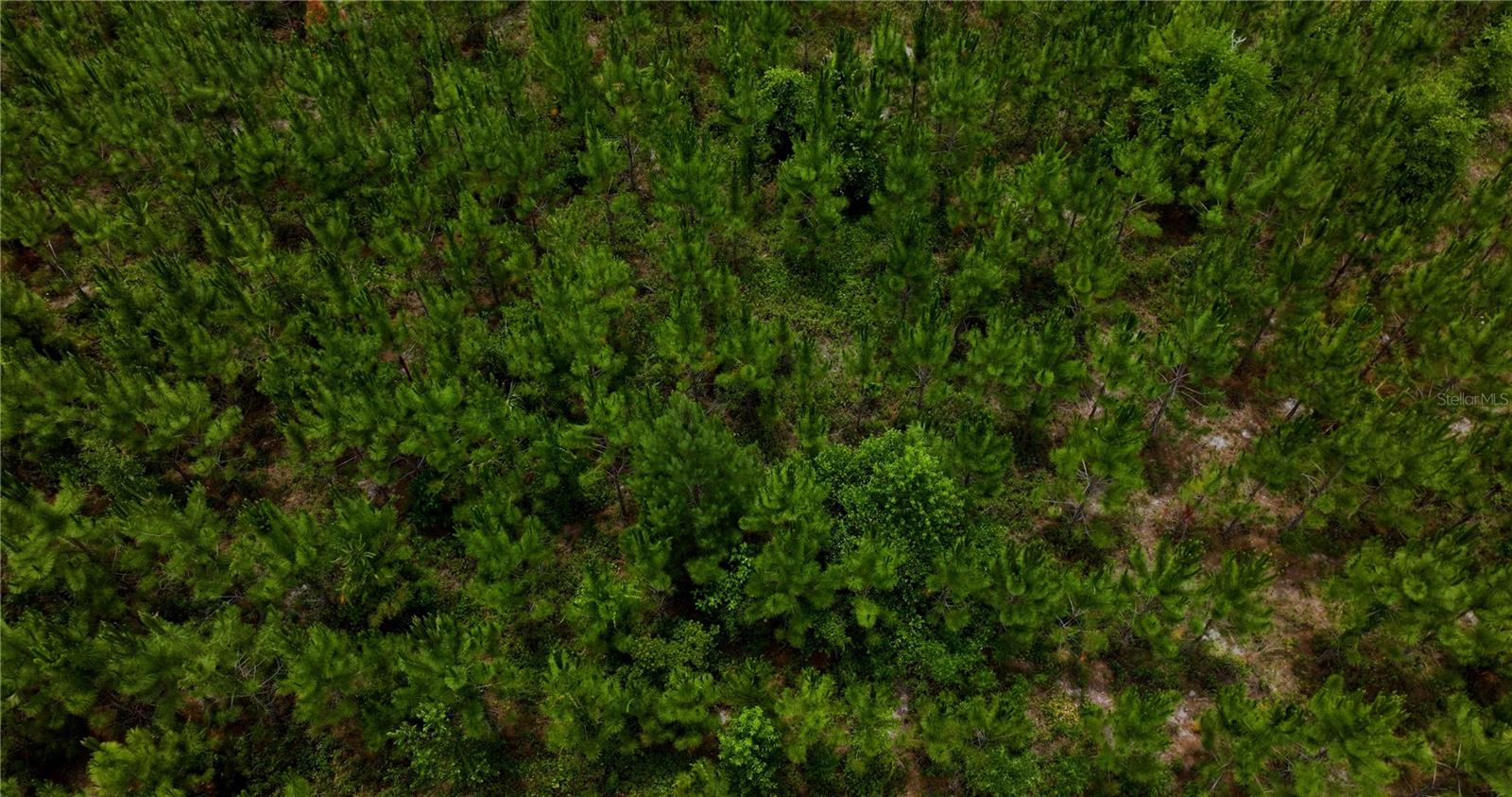 Image 4 of 21 For  Cr 235  