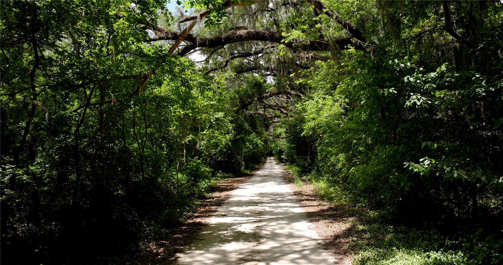 Image 5 of 21 For  Cr 235  