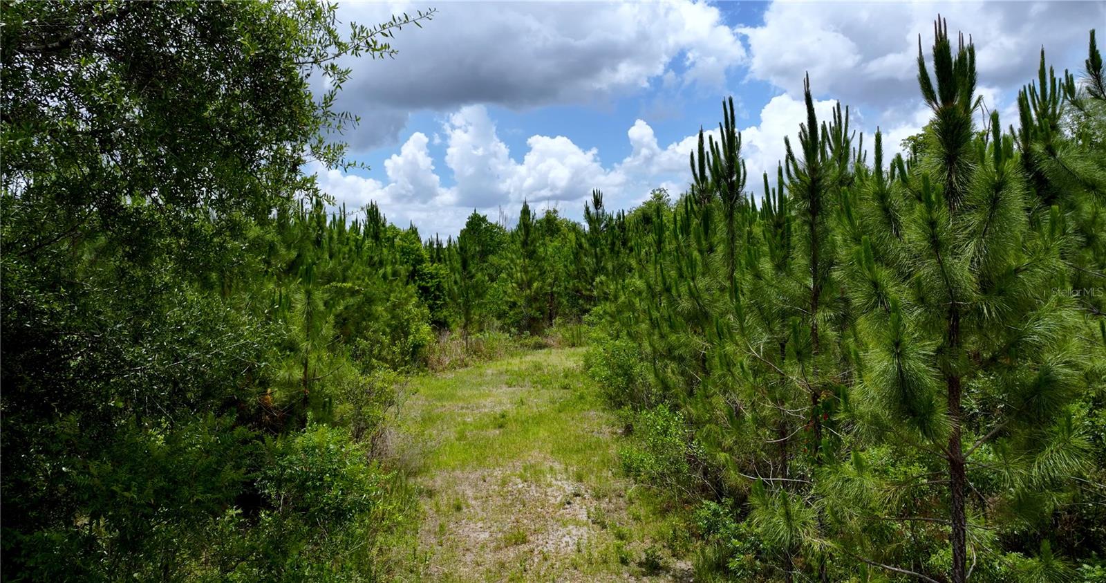 Image 8 of 21 For  Cr 235  