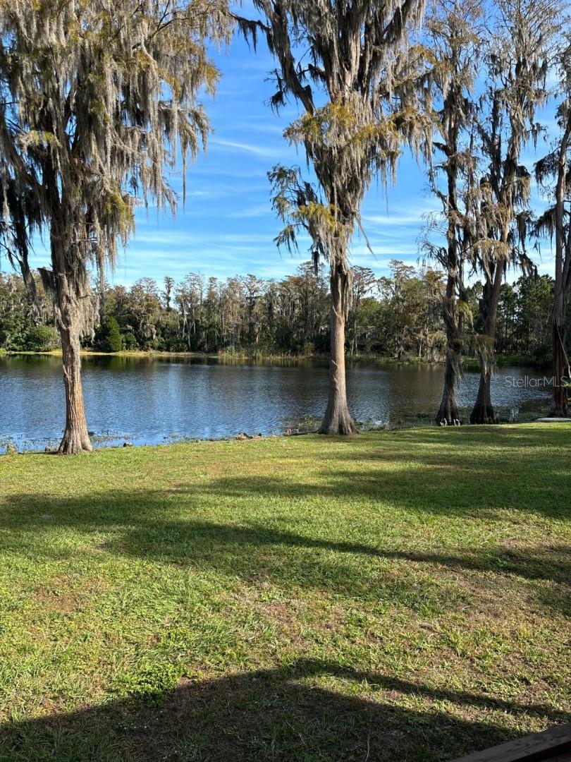 Image 92 of 98 For 18101 Boy Scout Road