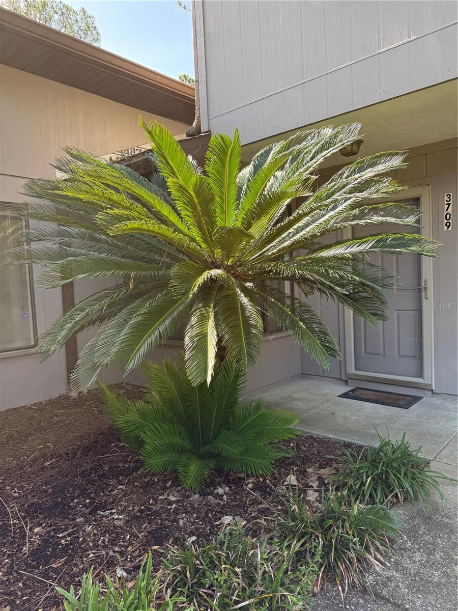 Image 3 of 18 For 3709 58th Place