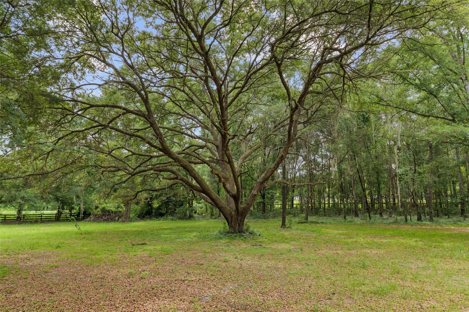 Image 66 of 85 For 12832 14th Avenue