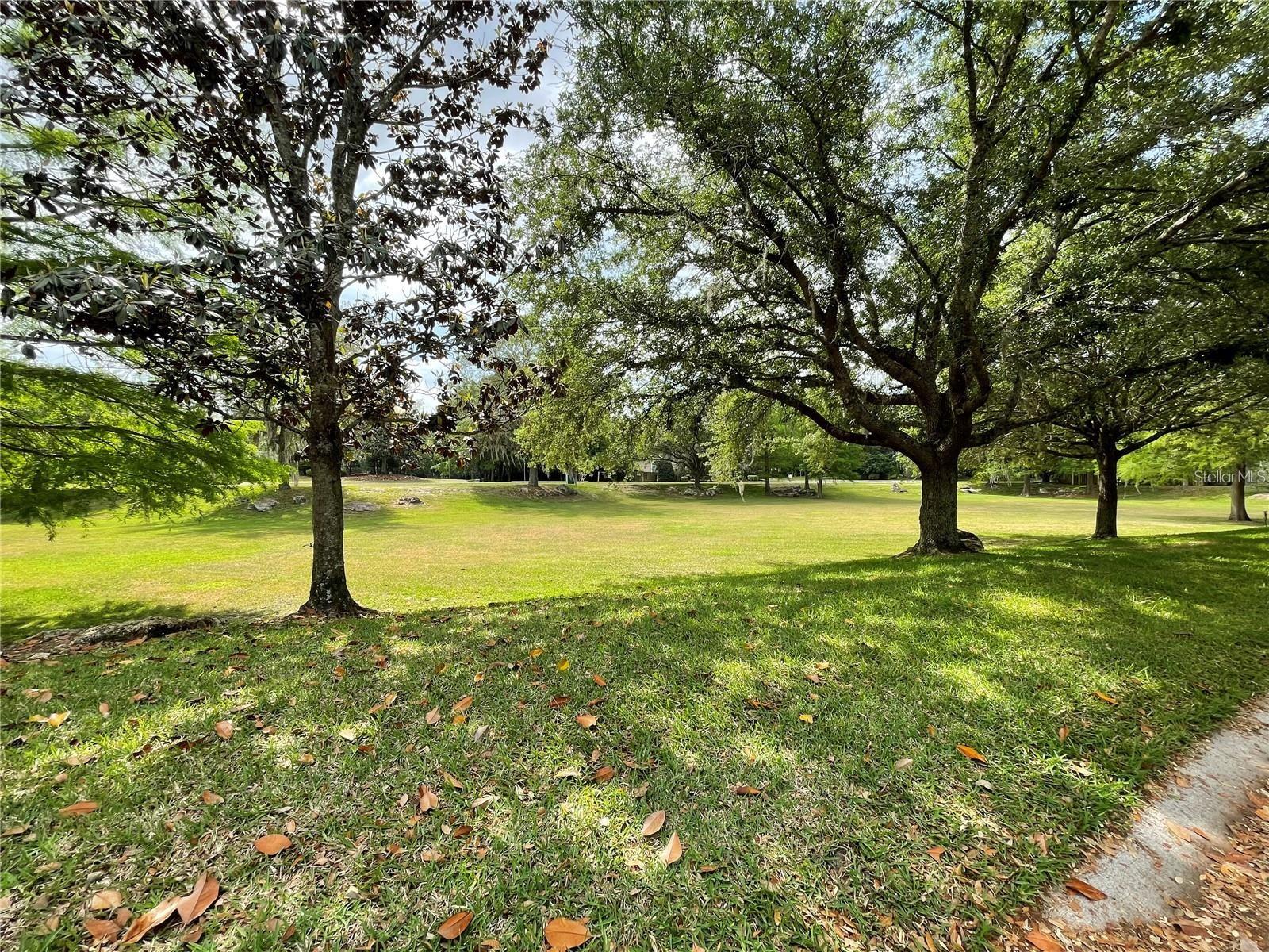 Image 41 of 43 For 923 85th Way
