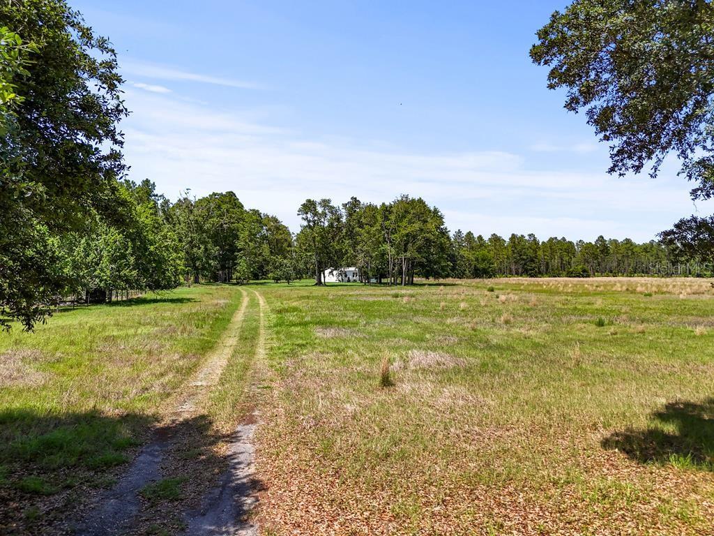 Image 35 of 37 For 15745 County Road 231a