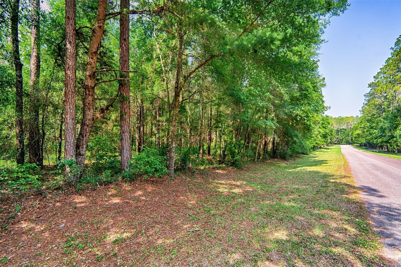 Image 3 of 12 For 19037 72nd Avenue