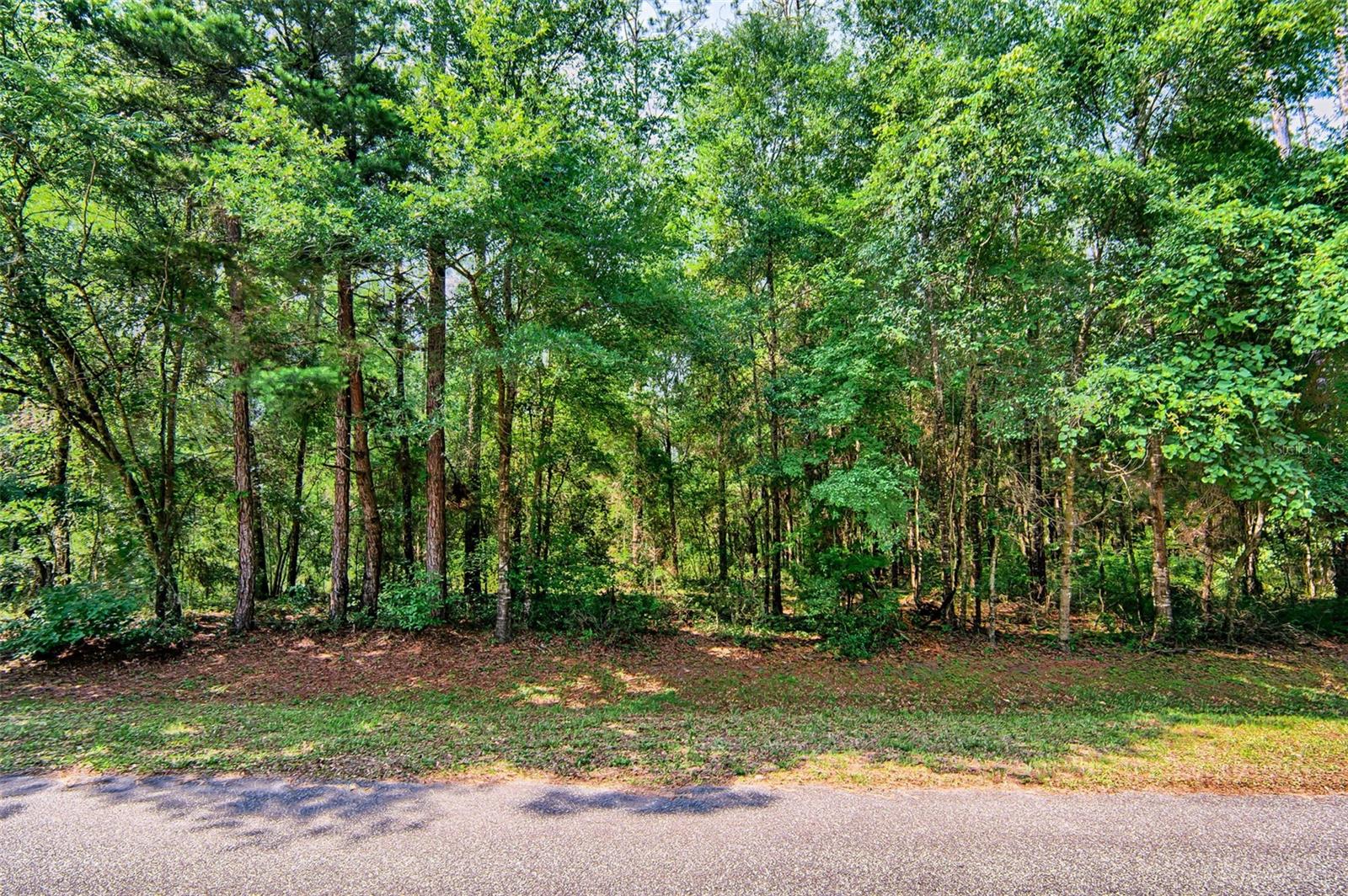Image 5 of 12 For 19037 72nd Avenue