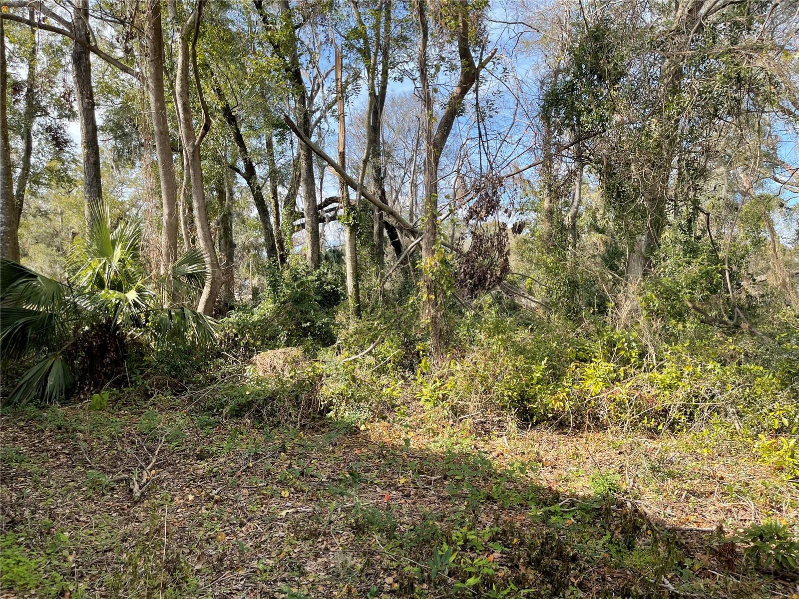 Image 3 of 10 For Lot 2 135th Terrace