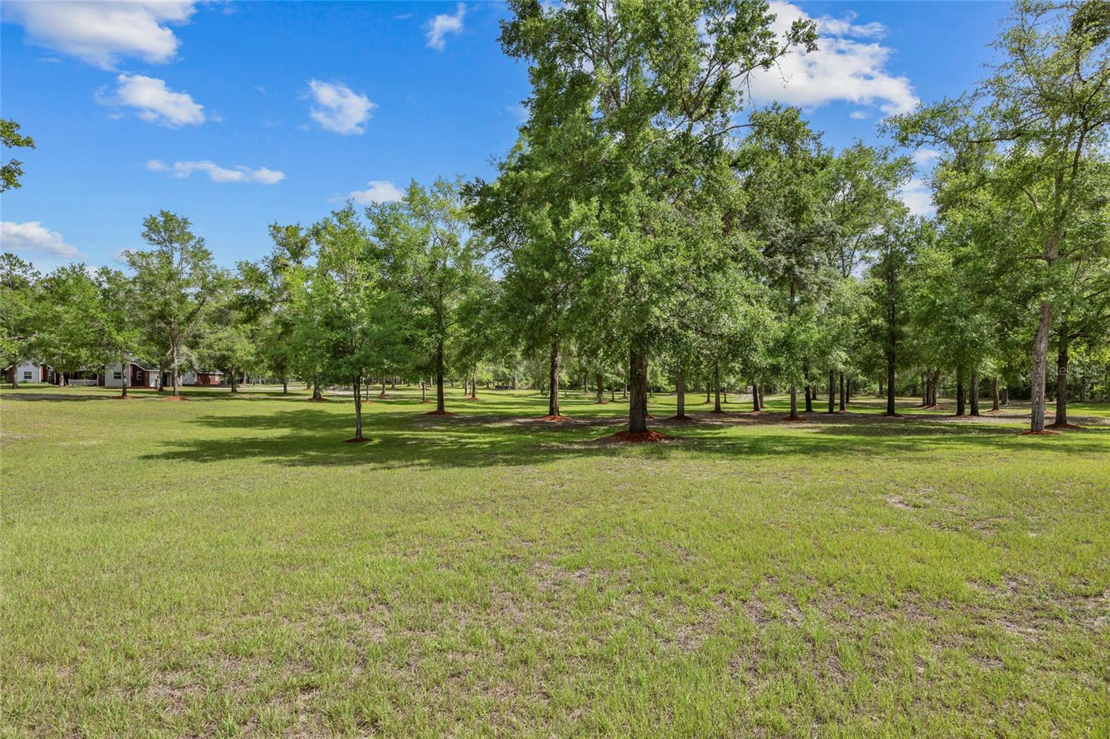 Image 6 of 56 For 1827 Shiloh Street