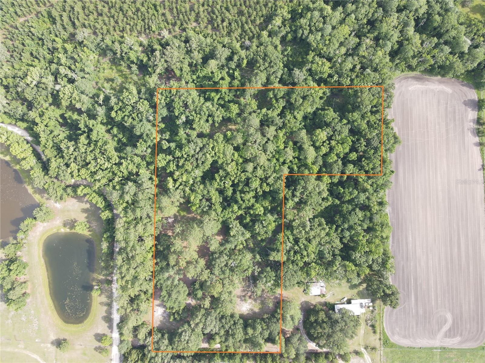 Details for Tbd 67th Boulevard, ALACHUA, FL 32615
