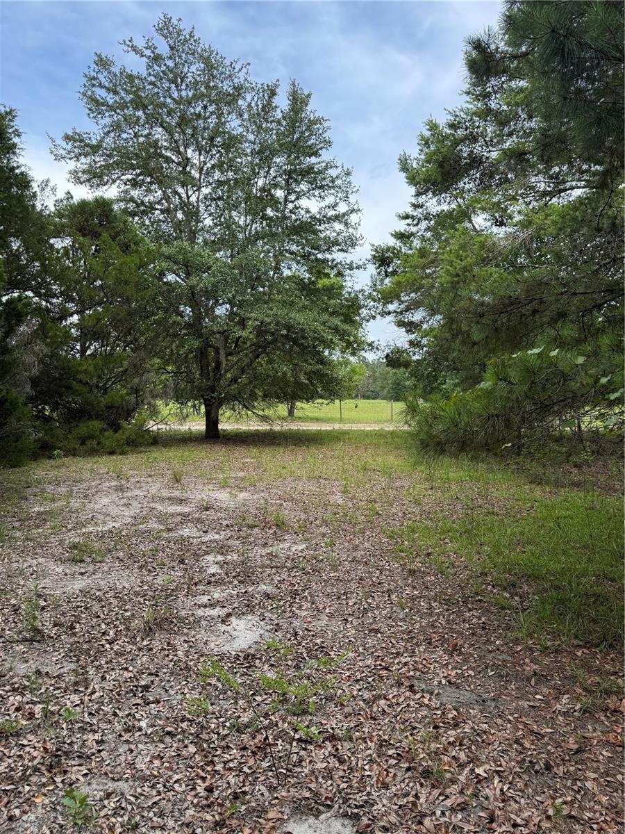 Image 11 of 36 For Tbd 67th Boulevard