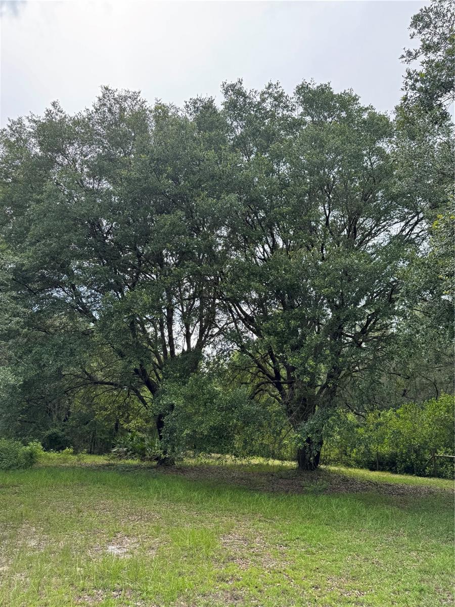 Image 13 of 36 For Tbd 67th Boulevard