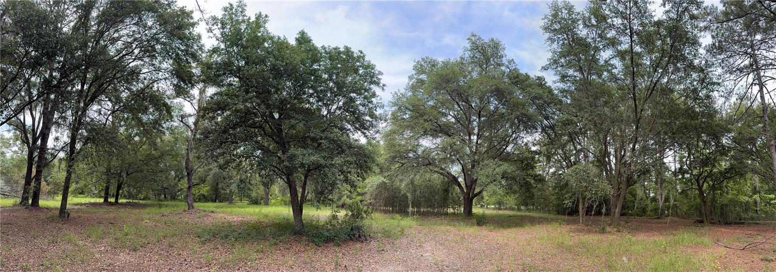Image 16 of 36 For Tbd 67th Boulevard