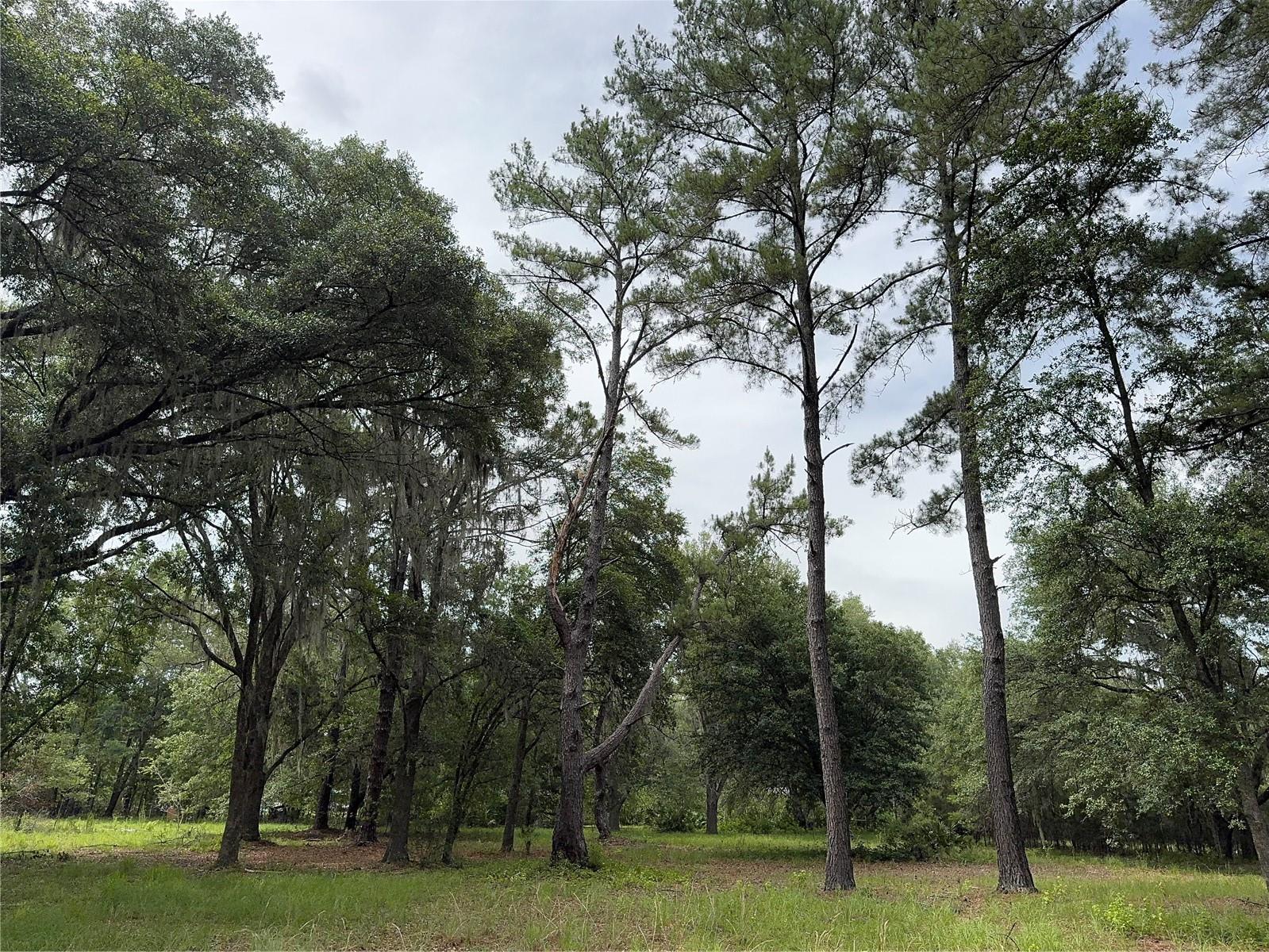 Image 18 of 36 For Tbd 67th Boulevard