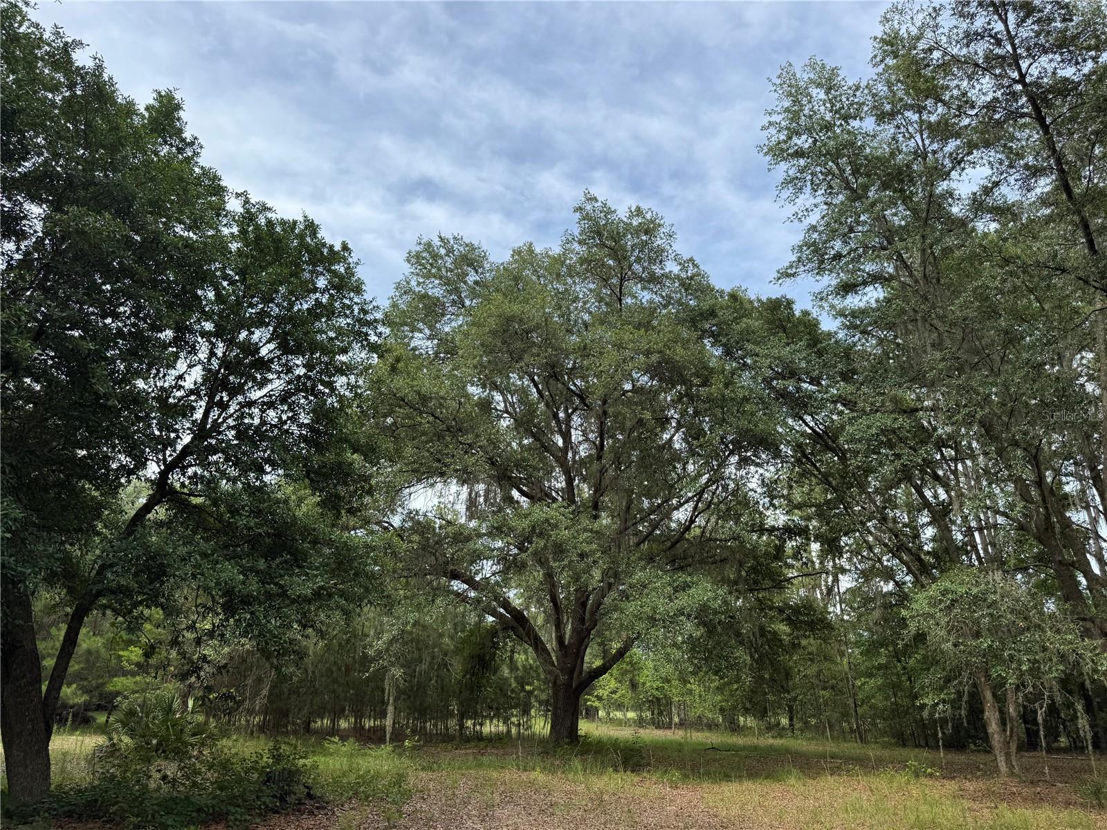 Image 2 of 36 For Tbd 67th Boulevard