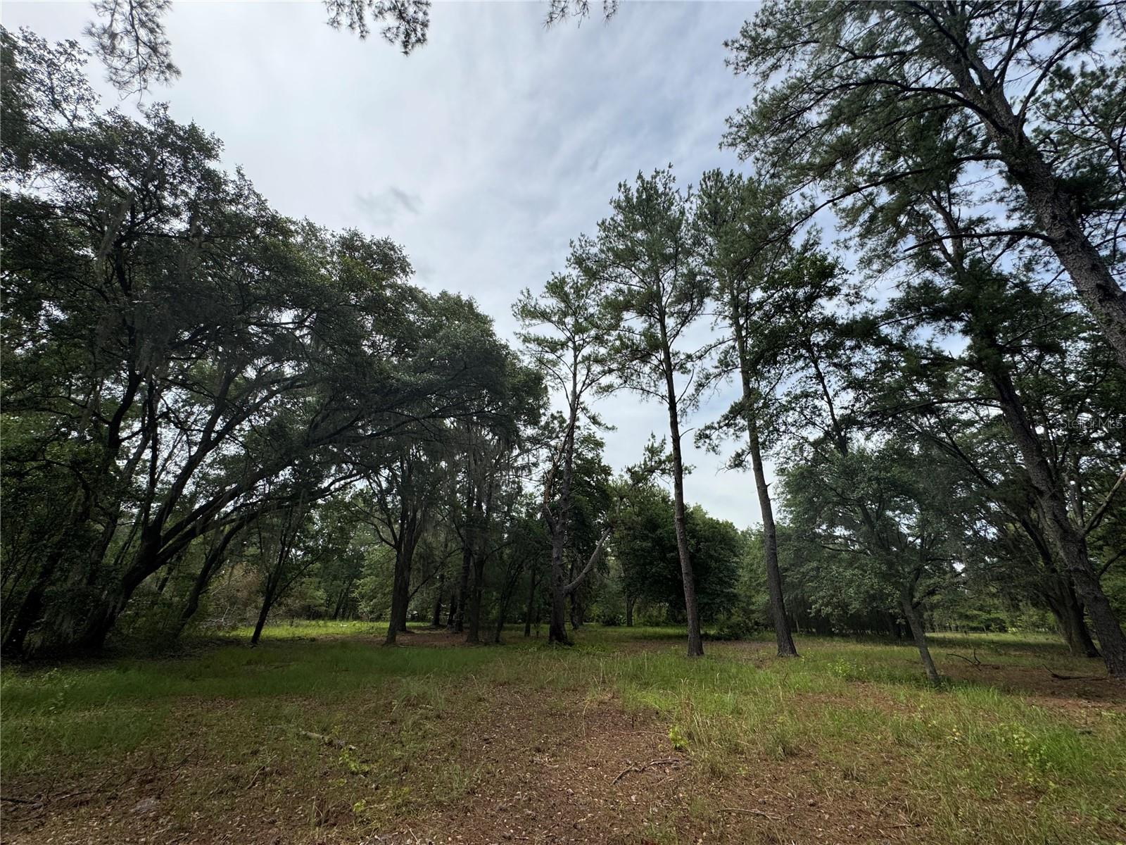 Image 20 of 36 For Tbd 67th Boulevard
