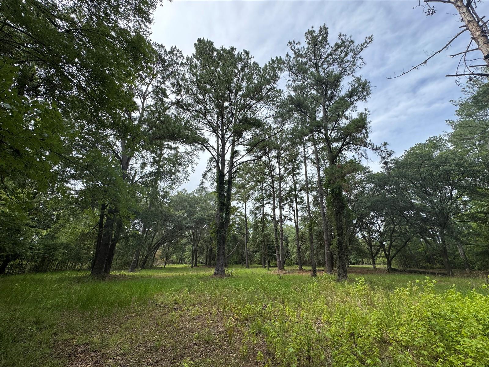 Image 21 of 36 For Tbd 67th Boulevard
