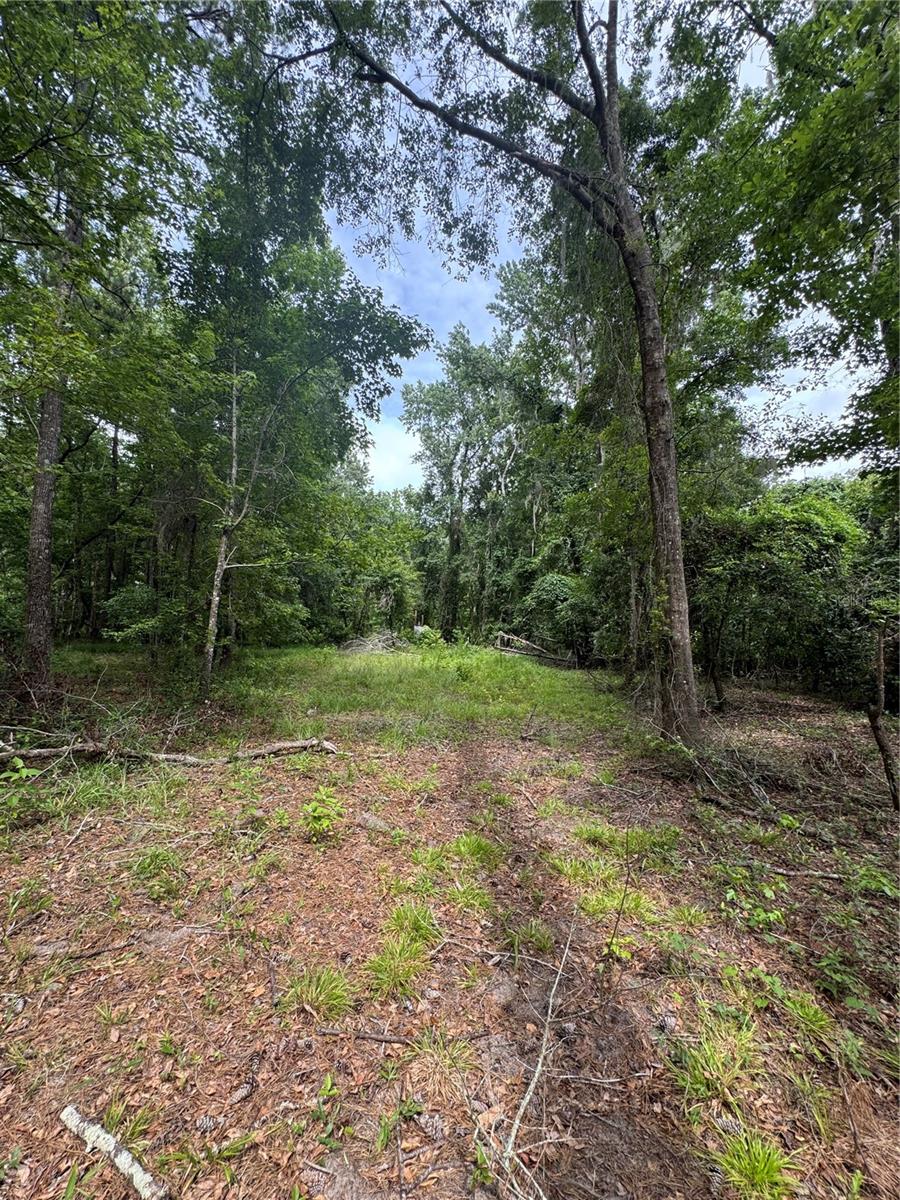 Image 22 of 36 For Tbd 67th Boulevard