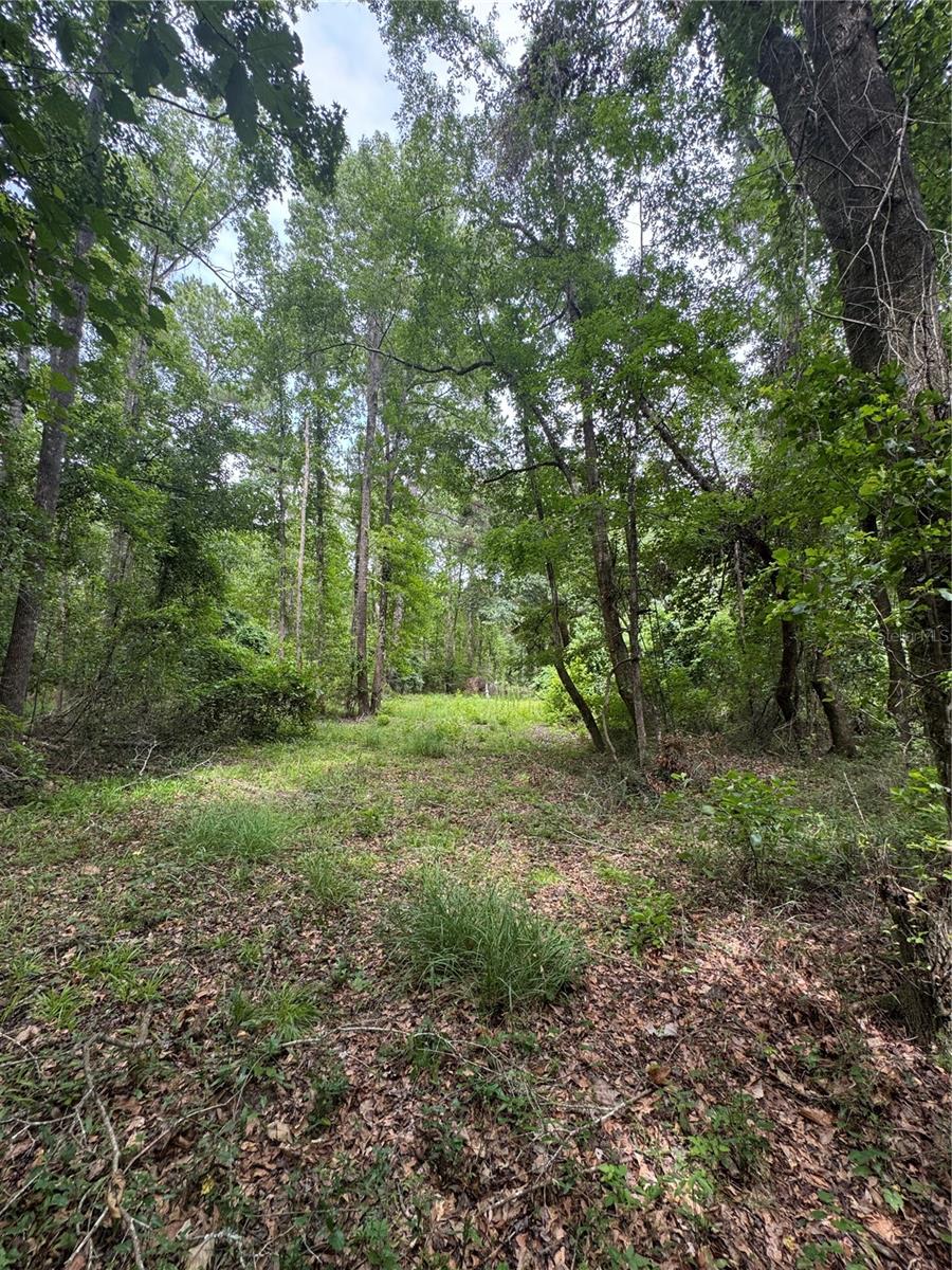 Image 24 of 36 For Tbd 67th Boulevard