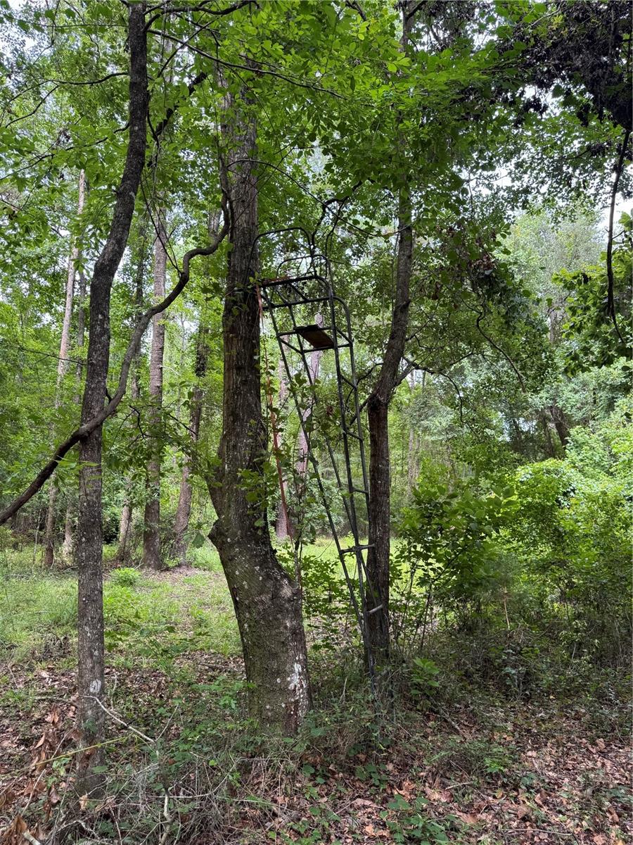 Image 25 of 36 For Tbd 67th Boulevard