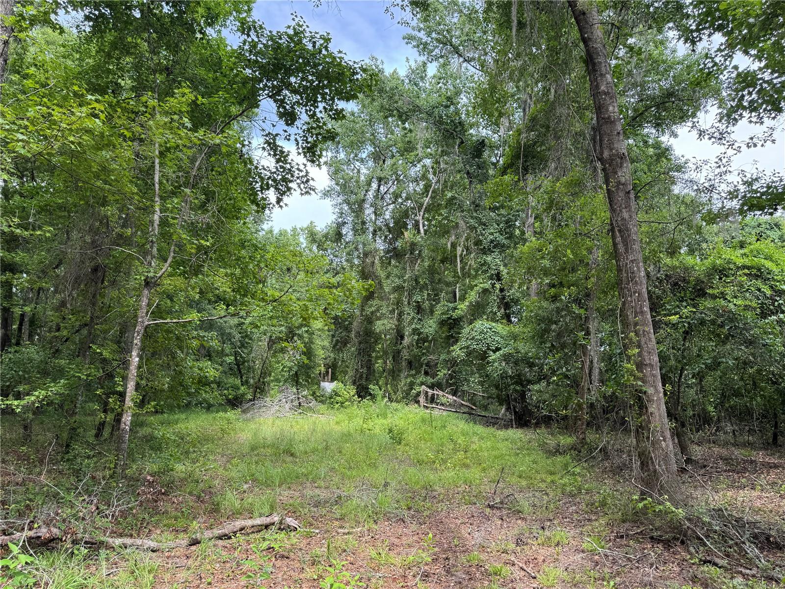 Image 27 of 36 For Tbd 67th Boulevard