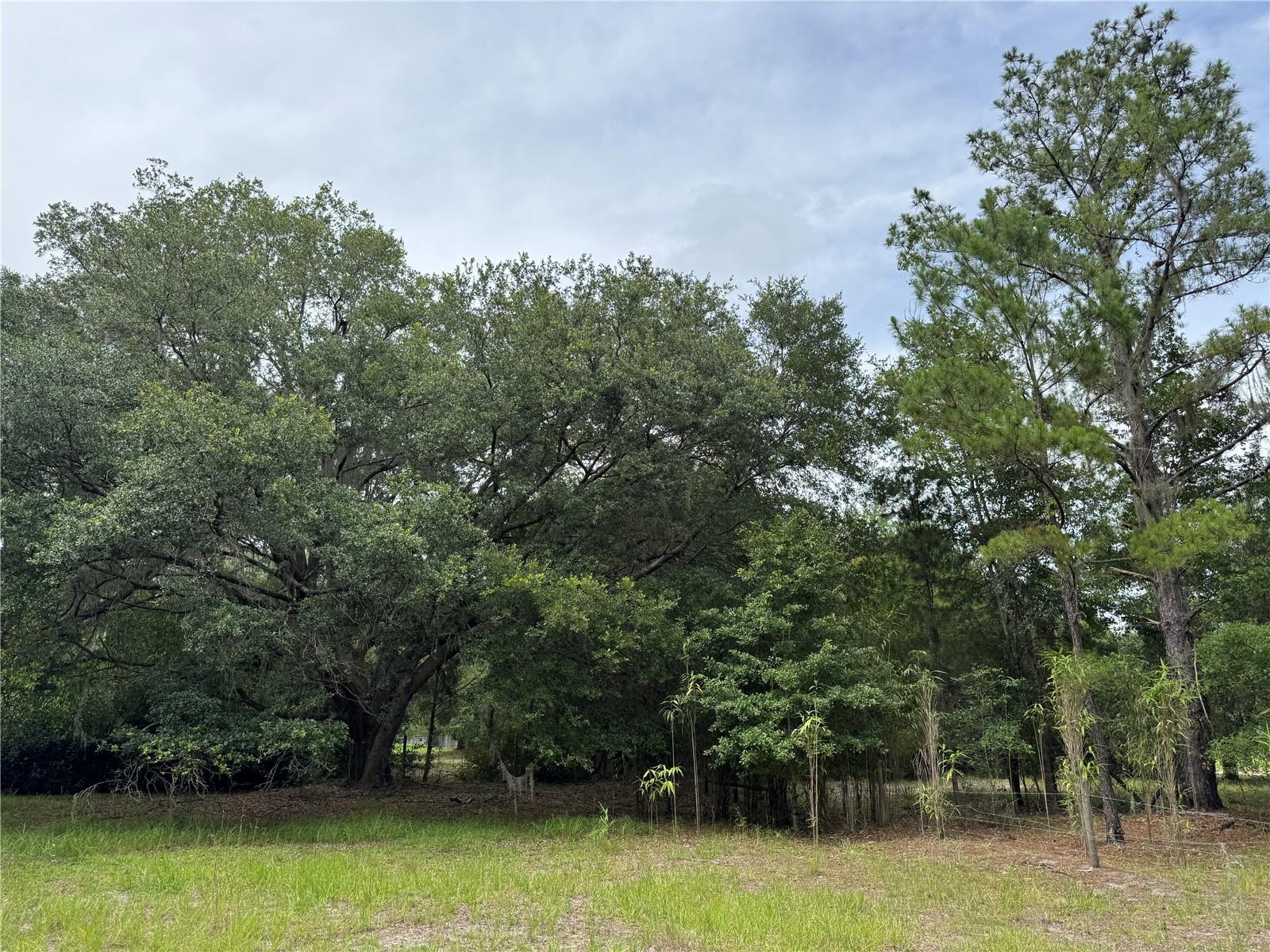 Image 3 of 36 For Tbd 67th Boulevard
