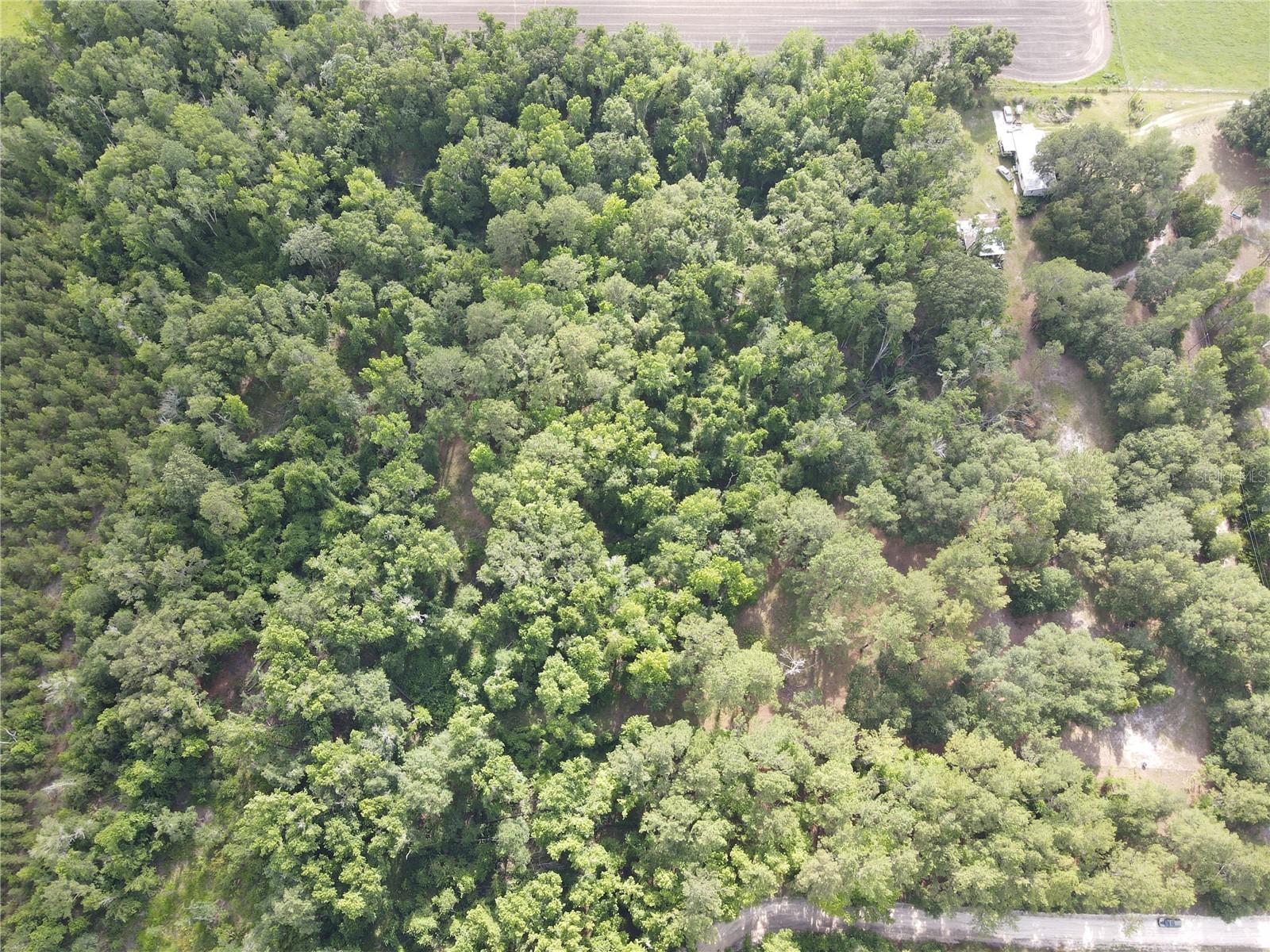 Image 34 of 36 For Tbd 67th Boulevard