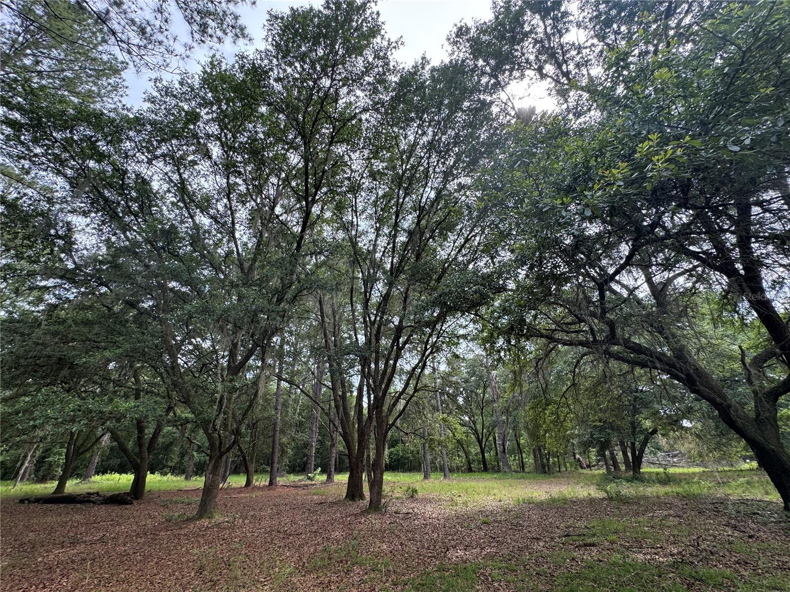 Image 4 of 36 For Tbd 67th Boulevard