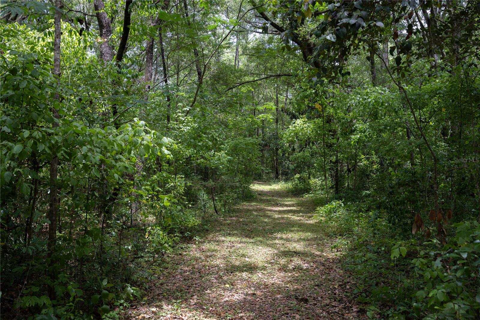 Image 54 of 65 For 6207 County Road 235