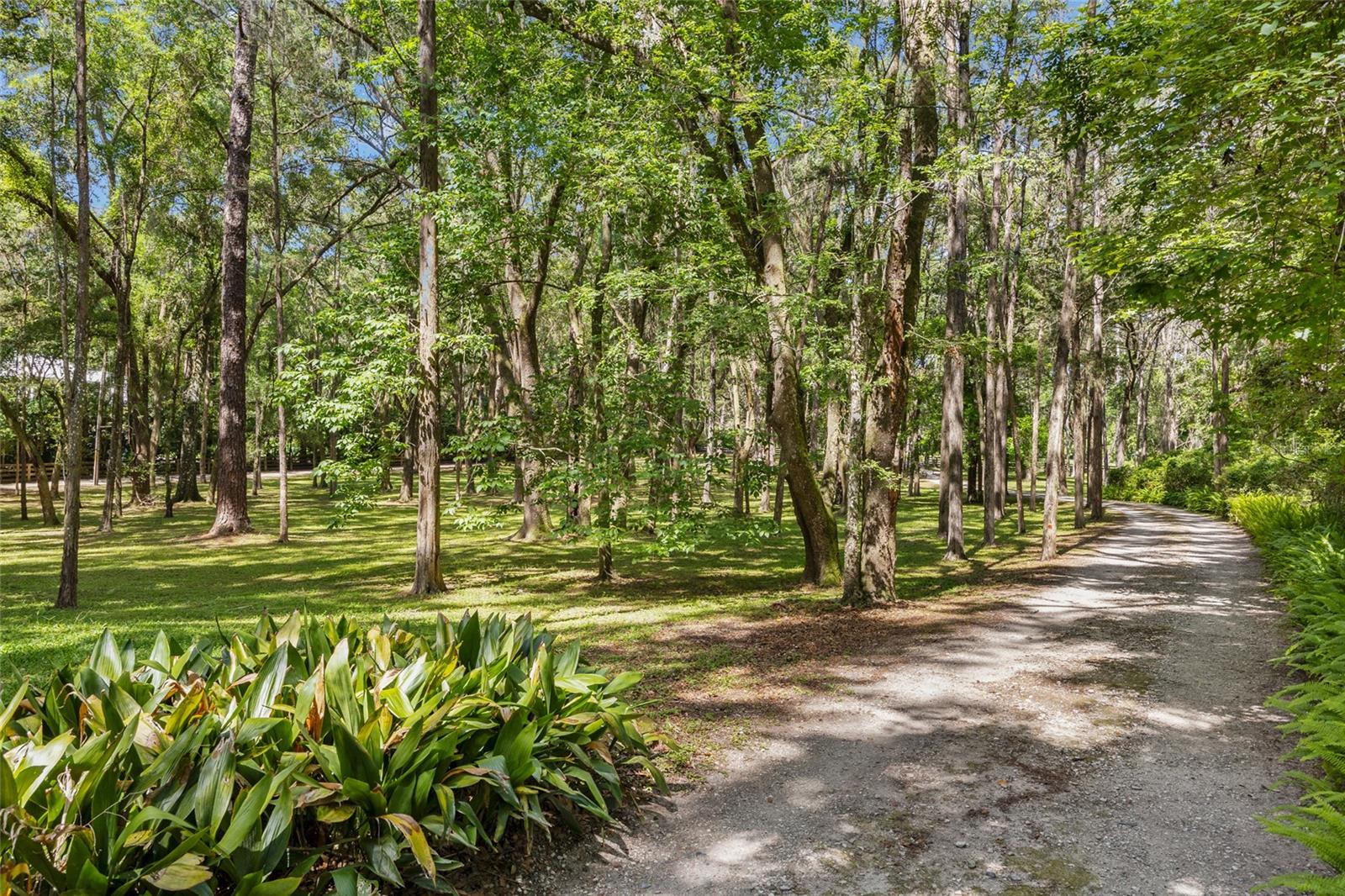 Image 4 of 50 For 2809 81st Street