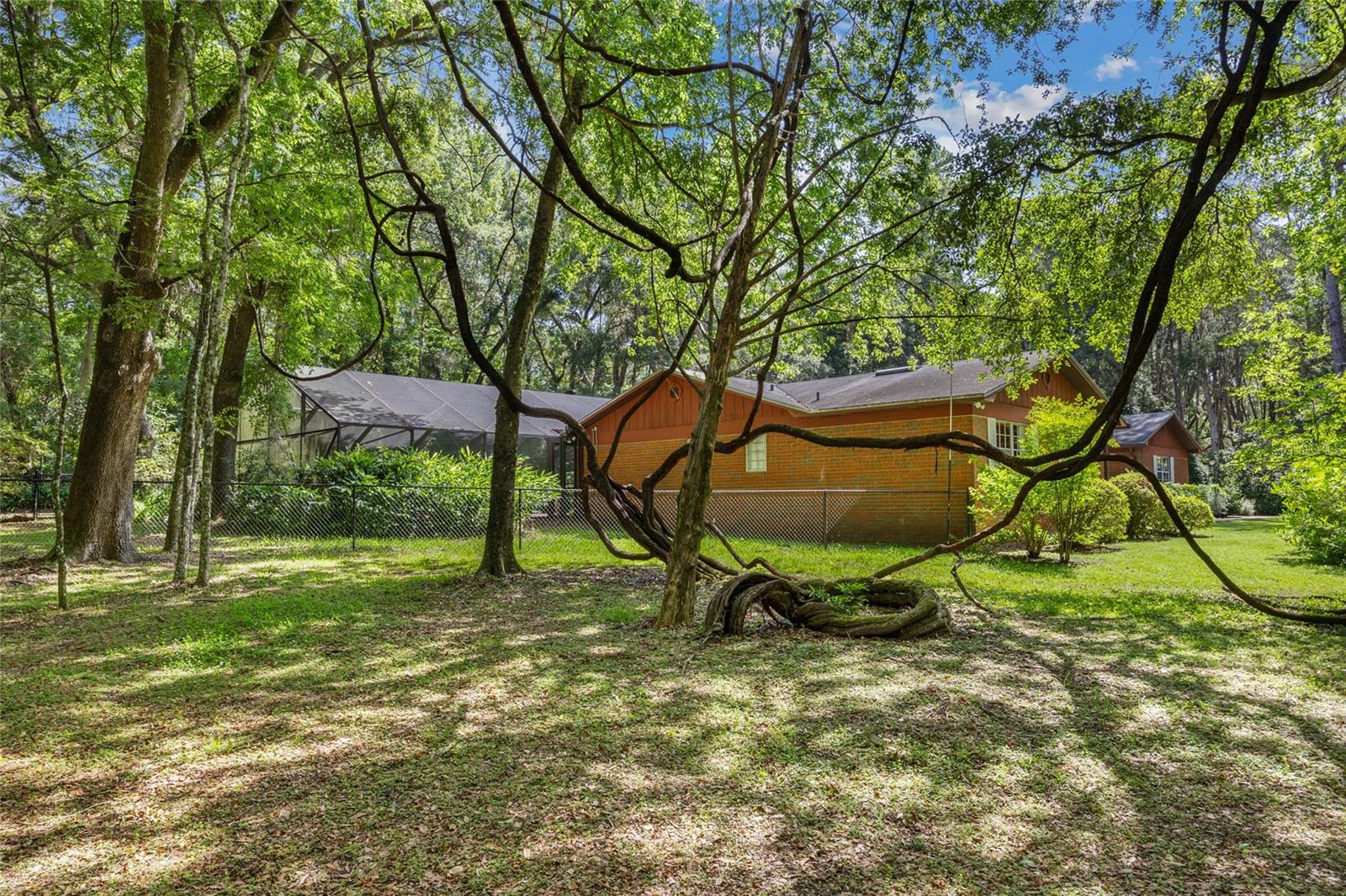 Image 41 of 50 For 2809 81st Street