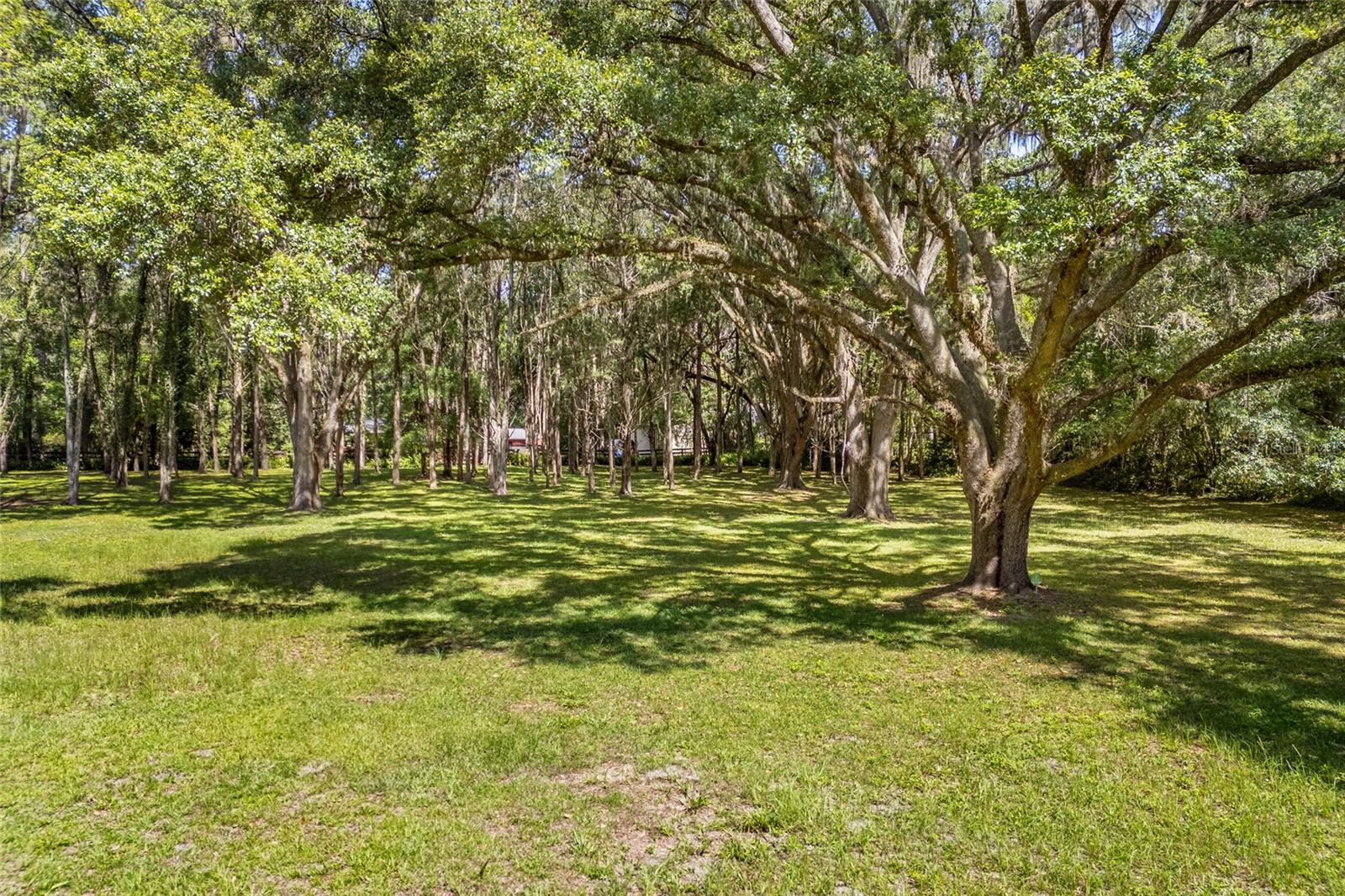 Image 45 of 50 For 2809 81st Street