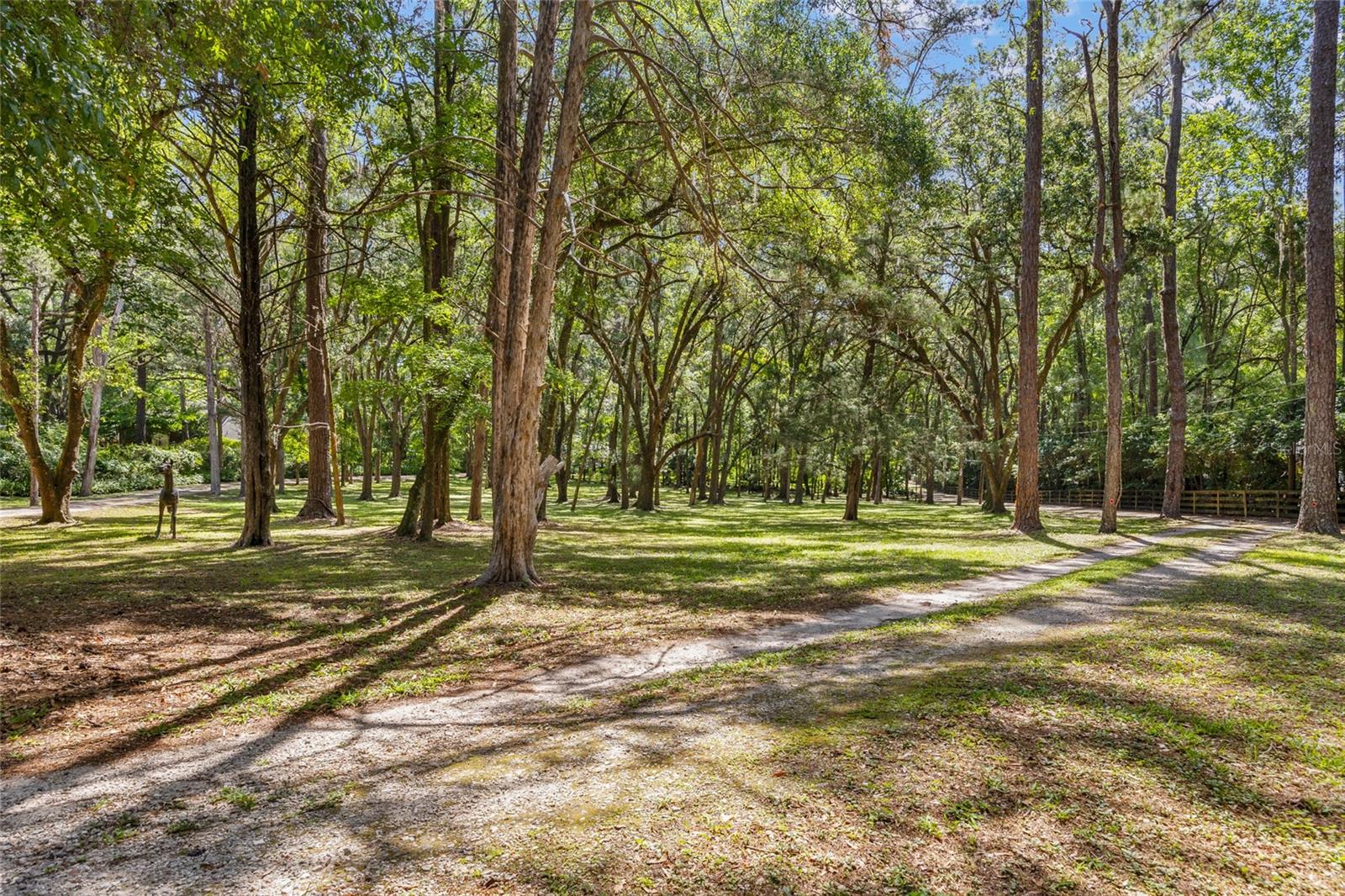 Image 6 of 50 For 2809 81st Street
