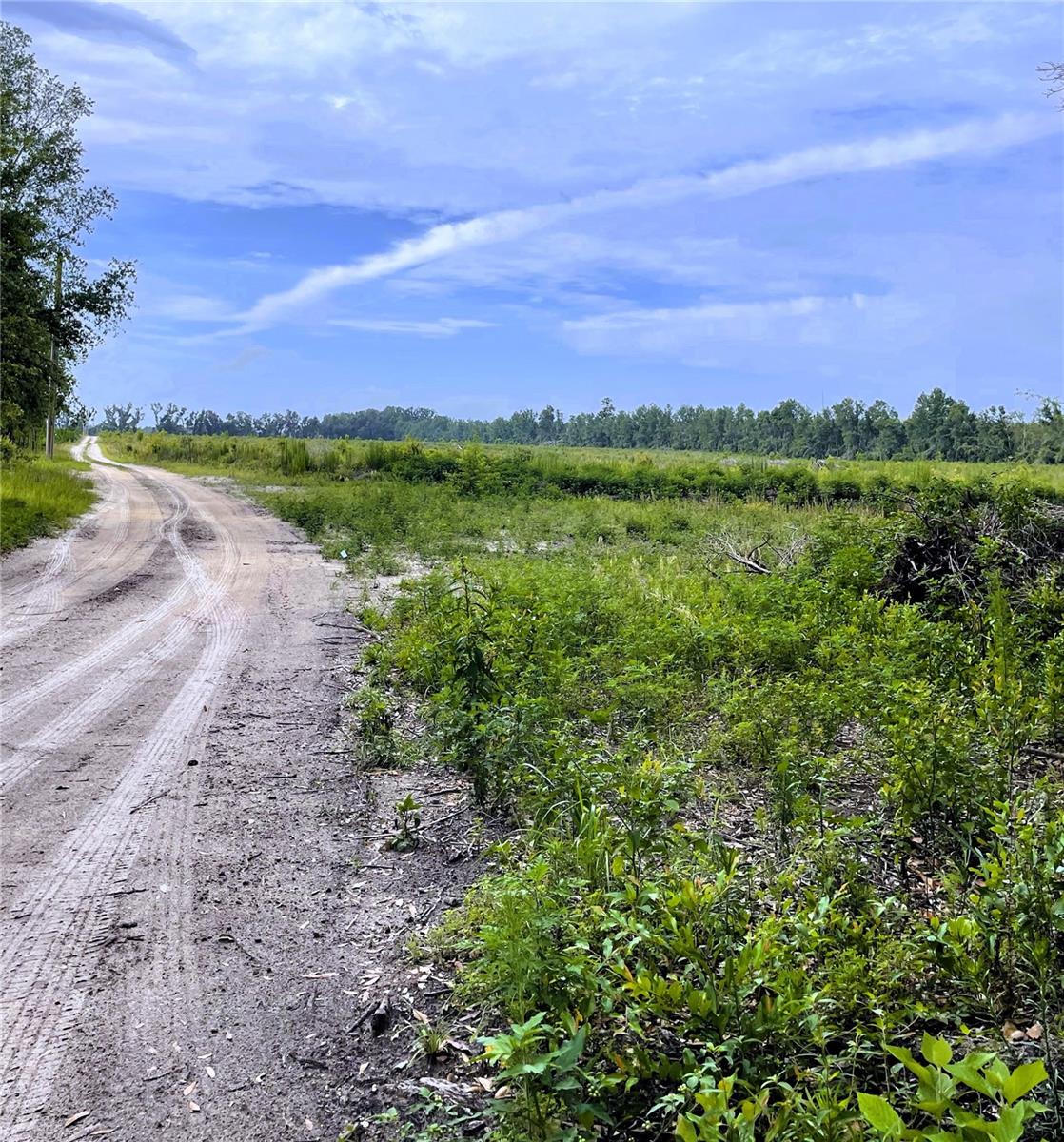 Image 5 of 7 For  128th Road 