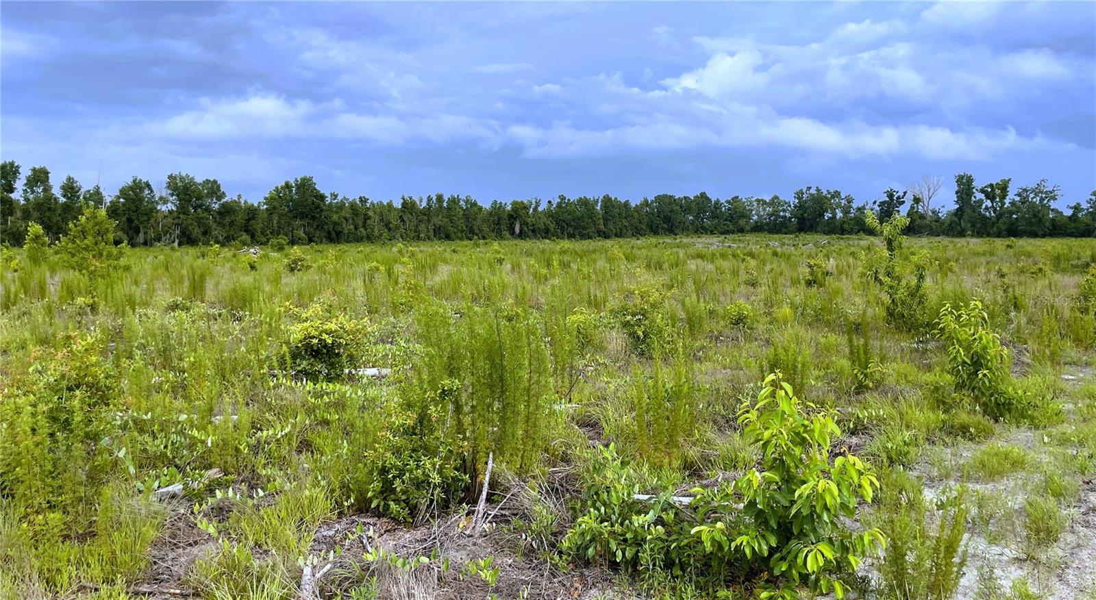 Image 7 of 7 For  128th Road 
