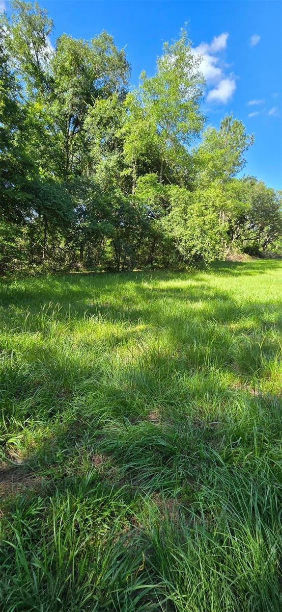 Image 36 of 43 For 2801 167th Road