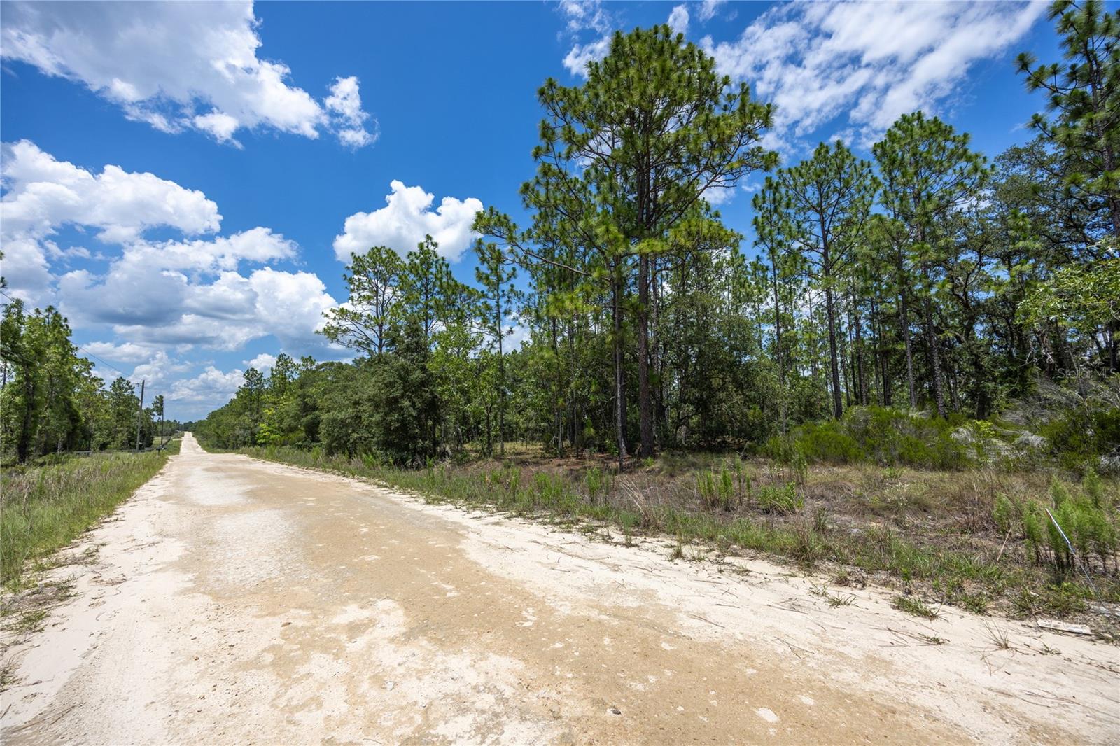 Details for  150th Court , WILLISTON, FL 32696