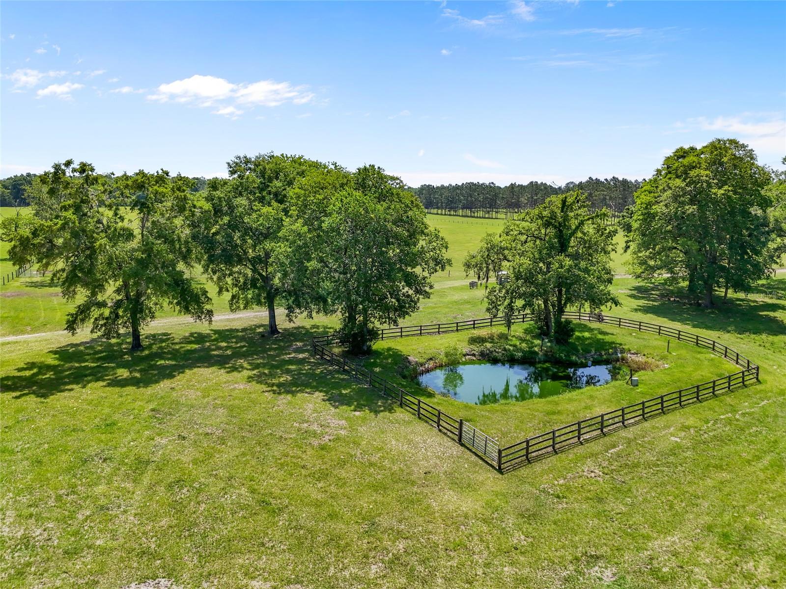 Image 25 of 38 For 4639 Wilson Springs Road